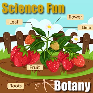 Science Homework Botany