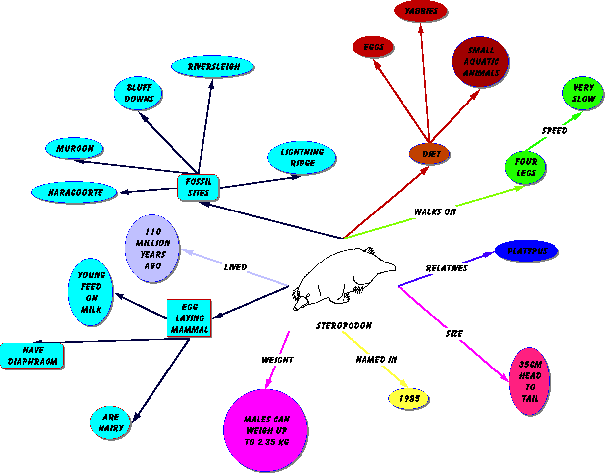 Steropodon Mind Map
