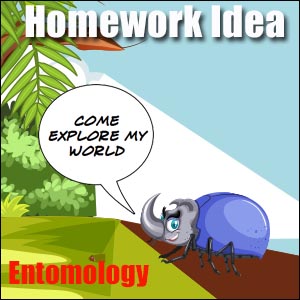 Insects Homework Idea